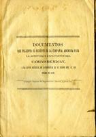 Documento que presenta el gerente de la compañía anónima para la apertura y explotación del camino de Micay, a la juta de accionistas en su sesión del 17 de Enero 1889 (1889)